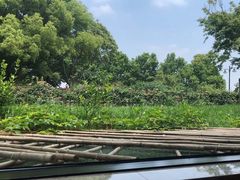 -潮府馆·非遗潮州菜·港式点心(世纪公园店)