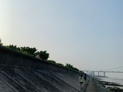 -海鸥岛
