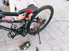 -道路口单车爱瓦士dahon大行