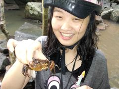 -呀诺达热带雨林