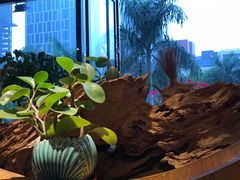 -茶油香闽南菜·花园餐厅(前埔店)