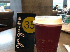 -gaga(深圳南山益田假日广场店)