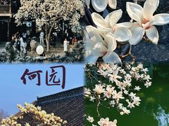 -大潮淮·淮扬菜(何园旗舰店)