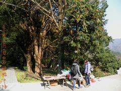 -祁门牯牛降观音堂风景区