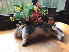 -IFIF 如果花園(宽厚里店)