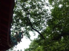 -岳麓山风景名胜区