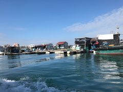 -蓝湾碧波·老字号·疍家非遗海上餐厅