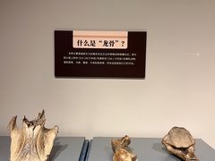 -大连自然博物馆