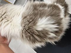 -comecome来吧宠物(奥克斯中心店)