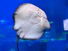 -正佳极地海洋世界