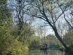 -西溪国家湿地公园