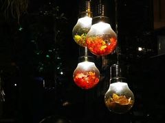 -胡桃里乐队酒馆(鎏嘉码头店)