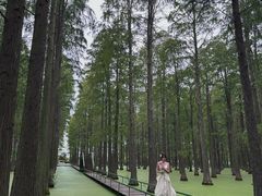 -渌洋湖湿地公园