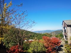 -莫干山风景区