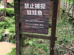 -东天目山风景区