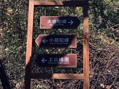 -大岭沟猕猴桃谷风景区