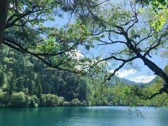 -九寨沟-树正沟