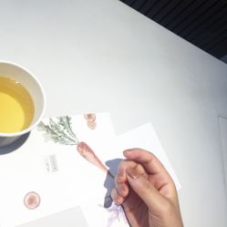 -奈瑞儿美颜塑身SPA