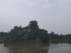 -白鹭湾湿地公园