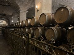 -北京张裕爱斐堡酒庄