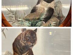 -湖南湘绣博物馆