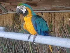 -西霞口神雕山野生动物世界