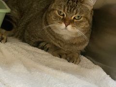 -爱诺耐芙动物医院(万博店)