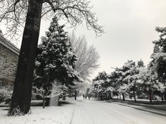 -中央民族大学