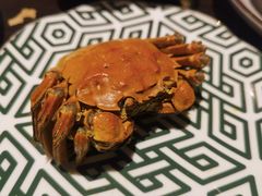-庐灶江南·江南菜·四合院Bistro(东直门·华侨夜泊君亭店)