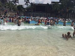 -重庆海昌加勒比海水世界