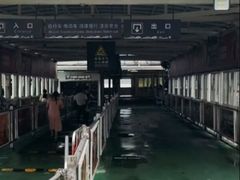 -武汉关码头(轮渡站)