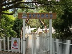 -东莞市大岭山森林公园