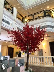 -禾丽康美医疗美容医院