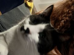 -路易时光(蕴川路店)