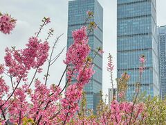 -艾溪湖湿地公园