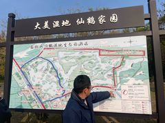 -盐城丹顶鹤湿地生态旅游区