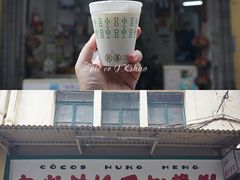 -洪馨椰子