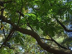 -草庵摩尼教遗址公园