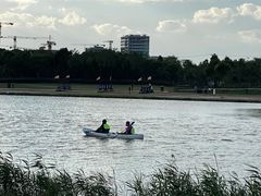 -春花秋色城市公园