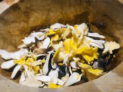-滇小鱼·云南野生菌火锅(上杭路店)
