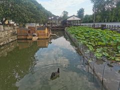 -荷塘味道(水长城店)