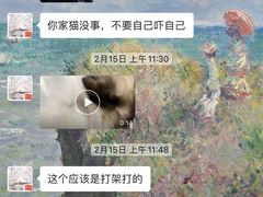 -叮叮猫咪生活馆