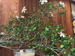 -Beans Solo豆号咖啡(百家湖花园店)
