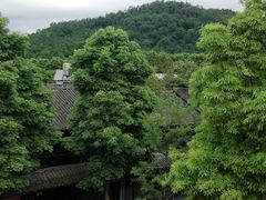 -祖传苏油糕