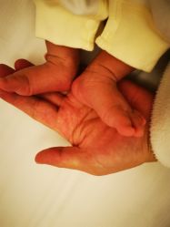 -母仪天下月子中心(光谷店)