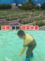 -小蜜蜂农场(凯德七宝购物广场店)
