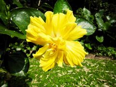 景点-湖光岩风景区