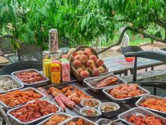 -桃源山庄·水蜜桃采摘·柴火鸡·烧烤团建(龙泉山店)
