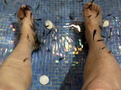 -水晶之星洗浴温泉汗蒸