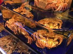 -蟹道乐(道顿堀本店)